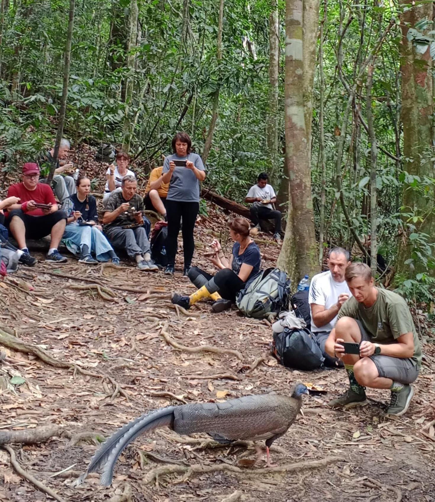 Sama Sama Homestay & Trekking Only Stay Here Book Trekking And Transport With Us Bukit Lawang Exterior foto