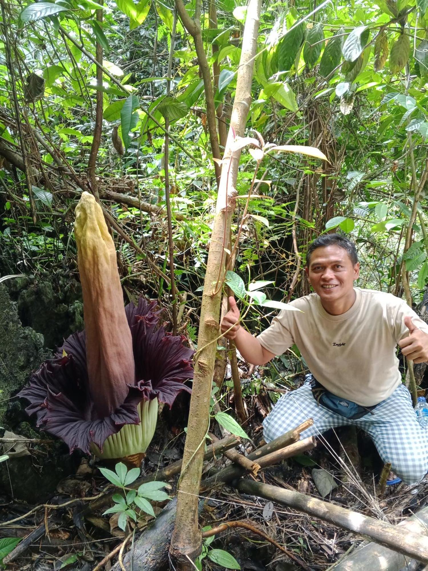 Sama Sama Homestay & Trekking Only Stay Here Book Trekking And Transport With Us Bukit Lawang Exterior foto