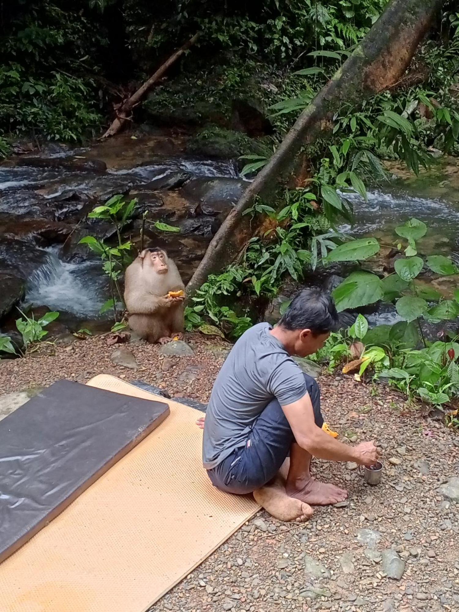 Sama Sama Homestay & Trekking Only Stay Here Book Trekking And Transport With Us Bukit Lawang Exterior foto